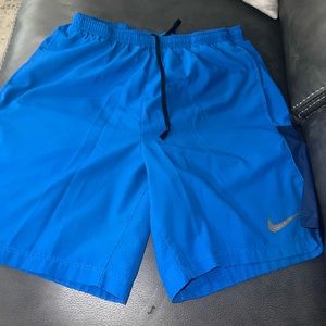 Mens Nike Dry Fit Shorts